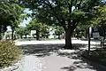 清水公園
