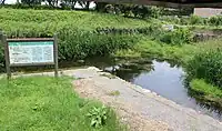 津屋川水系清水池ハリヨ生息地（国の天然記念物）
