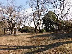 主郭部跡(川崎城跡公園)