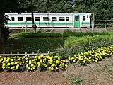 駅のホームとマリーゴールド