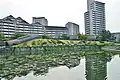 遠景