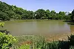 新池（高針）（2021年6月）