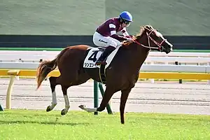 競走馬シンエンペラー