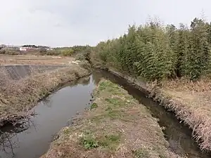 相川 2011年3月6日撮影