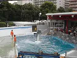 第3話ロケ地・しながわ水族館