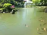 心字池