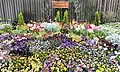 管理棟前の花壇(2024年4月)