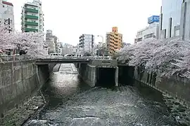 河口（右端が妙正寺川）（新宿区）