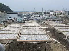 篠島にて。