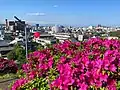 椎宮公園から見た徳島市の景色。