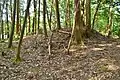 白米山東古墳