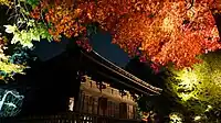 夜間に鑑賞する目的でライトアップされた紅葉の例(福島県・白水阿弥陀堂)
