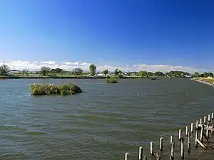 柴山沼