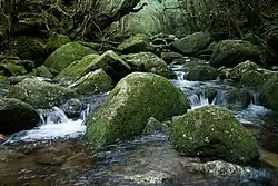 白谷川の渓谷