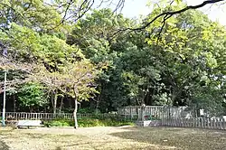 白鳥古墳（2014年11月）