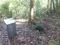 本丸跡