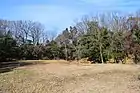 白鳥塚古墳（2014年1月）