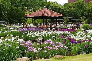 城北公園（2006年6月）