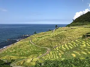 白米千枚田(オープニング使用)