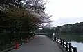 池と遊歩道