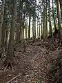 登山道