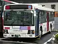 岡部営業所に所属する元藤枝営業所のノンステップ車がまとう塗装で、通称「藤枝カラー」。