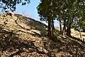将軍塚古墳（前山B53号墳）