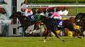 第19回優勝馬ショウナンパンドラ（鞍上、浜中俊）