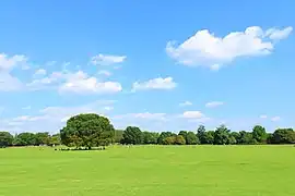昭和記念公園みんなの原っぱ