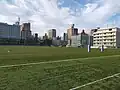 ラグビーコート