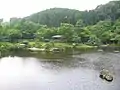 日本庭園の池
