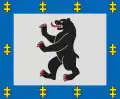 シャウレイ郡の旗