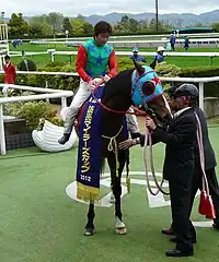2012年マイラーズカップ表彰式