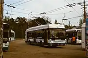 シンフェロポリ