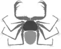 Kronocharon prendinii
