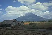 A photograph depicting a blue sky with white clouds at the top, a grey mountain range in the middle, and green foliage at the bottom.
