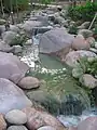 シンガポール植物園