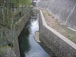 真福寺川 2004年12月28日撮影