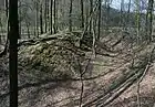 ジンツィヒ城趾