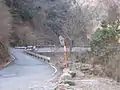 塩水林道と本谷林道の分岐手前