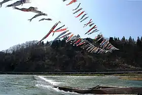 最上川の鯉幟(最上川:山形県西置賜郡白鷹町)