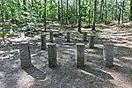 ウォールデン池、ソローの小屋のある側、2010年