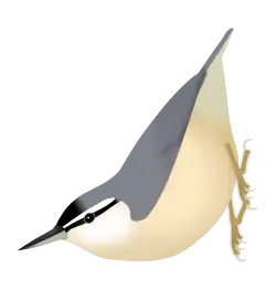 アルジェリアゴジュウカラ