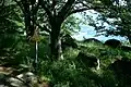 山頂三角点