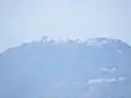山頂の桜