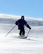 アルペンスキー
