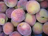 Broskyňaブロスキニャ（桃）