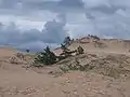ポモージェ地方の大砂丘