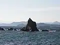 小矢取島