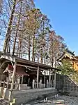 川口神社境内社と本殿津波による塩害により、鎮守の森のほとんどが枯れている